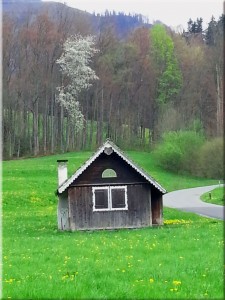 alpine-house